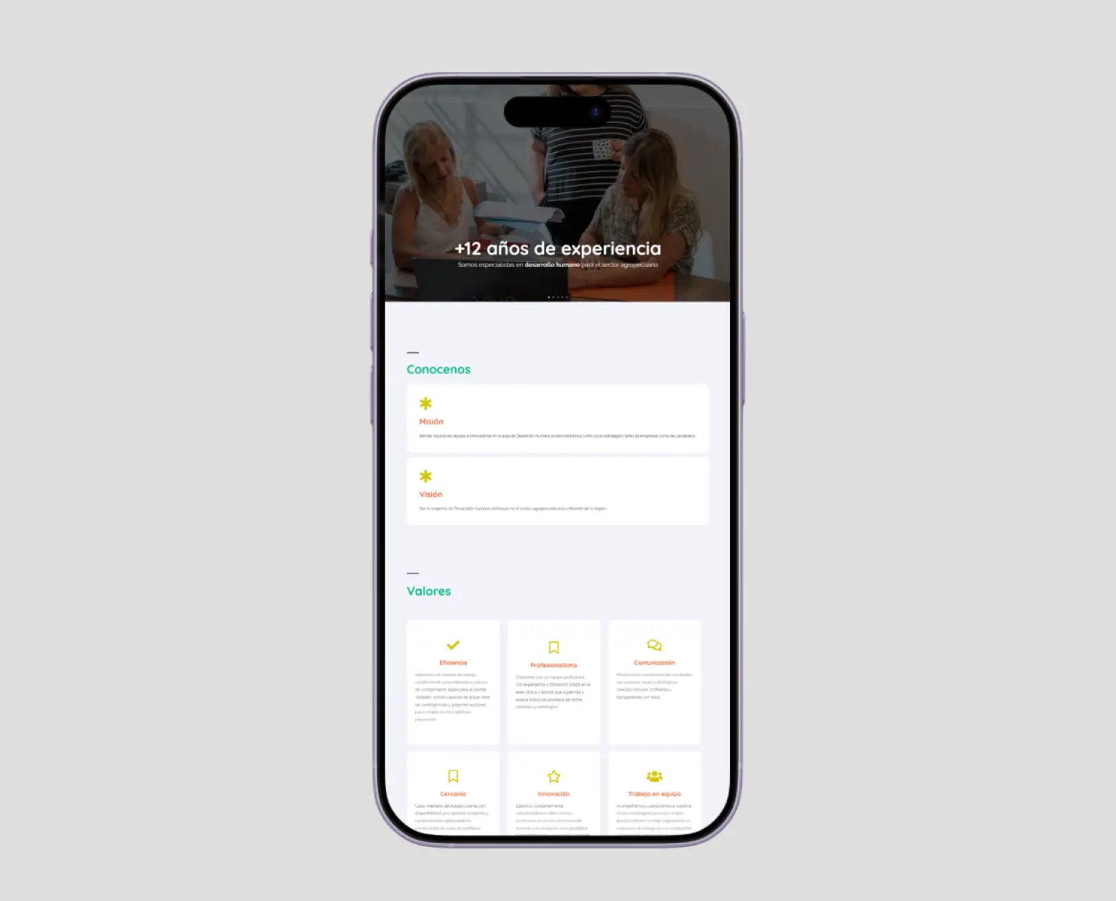 Versión mobile responsive