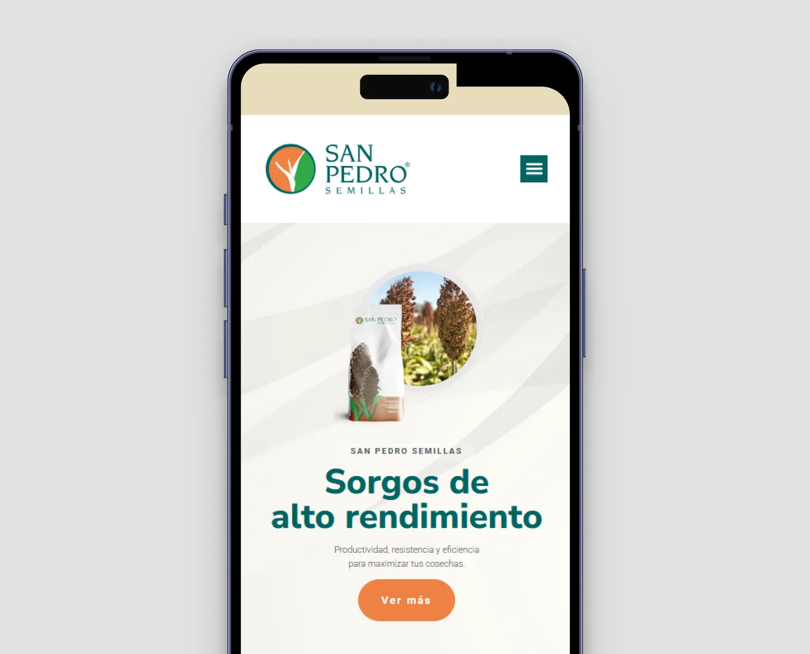 Versión mobile